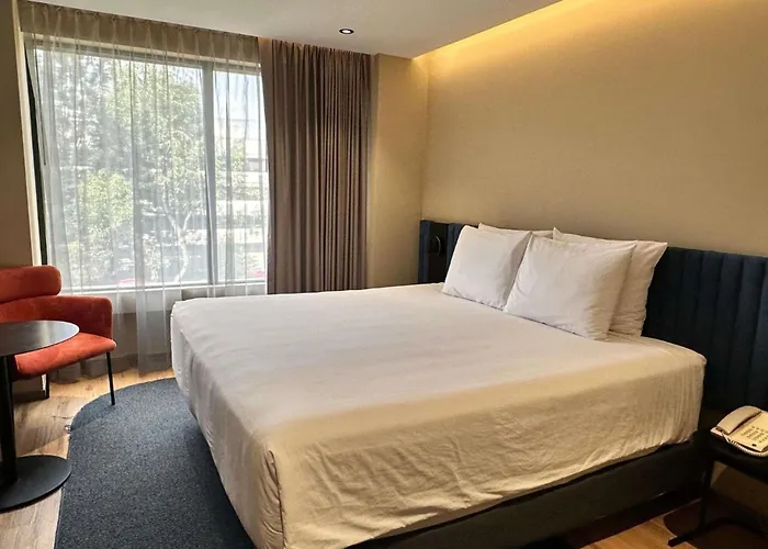Novotel Centro Historico